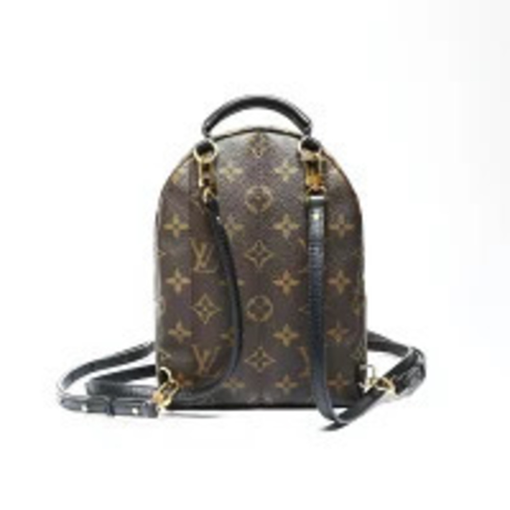 Louis Vuitton Palm Springs Backpack Monogram Love Lock Brown